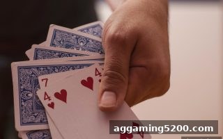 沙巴体育官网深度解析：如何通过历史数据分析优化PG老虎机与百家乐娱乐体验