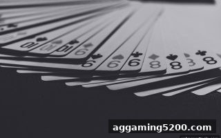 沙巴体育官网深度解析：棋牌桌游中团队协作的决胜法则