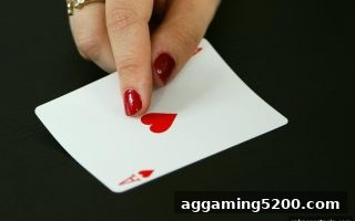 沙巴体育官网龙虎斗攻略：用逻辑推理提升博弈胜率