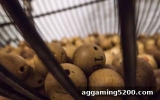 沙巴体育官网深度解读：数字型游戏选号策略与理性参与指南