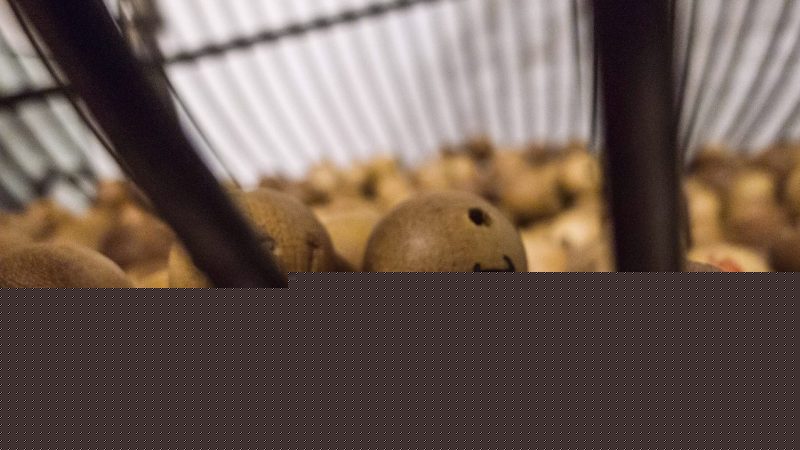 沙巴体育官网深度解读：数字型游戏选号策略与理性参与指南