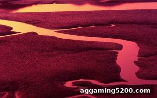 沙巴体育官网深度解析：彩票预测技巧背后的真相与理性玩法
