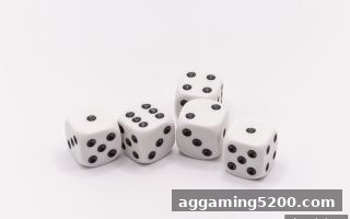 沙巴体育官网：斗地主有效投注与返利机制全方位指南