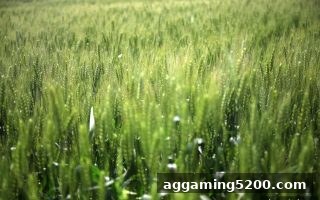 H5网页版电子游艺入门：胜率与赔率全解析——沙巴体育官网带你掌握核心逻辑