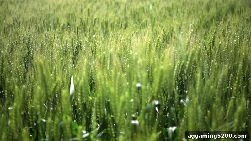 H5网页版电子游艺入门：胜率与赔率全解析——沙巴体育官网带你掌握核心逻辑