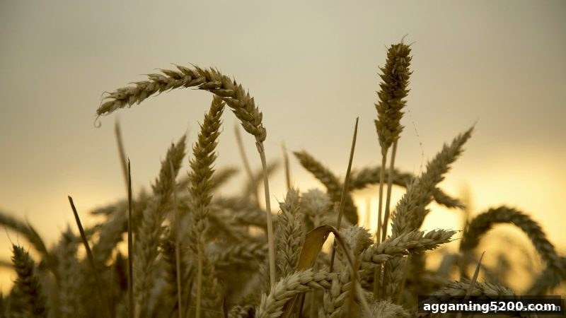 沙巴体育官网电子游艺免费旋转高效解锁全攻略