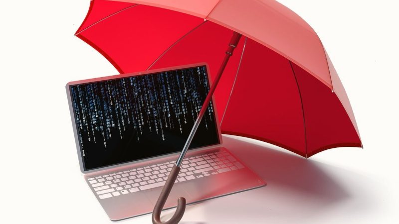 沙巴体育官网用户维权全流程：从异常识别到合法举报的实操指南