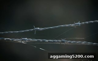 沙巴体育官网深度解析：ERC20充值陷阱与提款延迟，教你识别不良平台守护资产安全