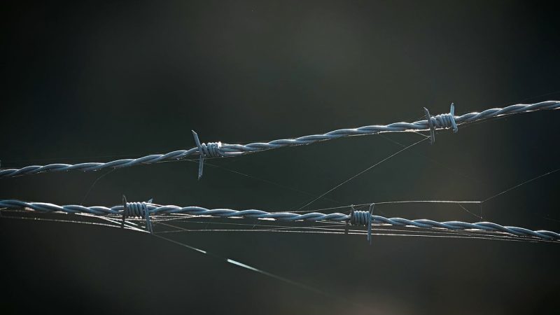 沙巴体育官网深度解析：ERC20充值陷阱与提款延迟，教你识别不良平台守护资产安全