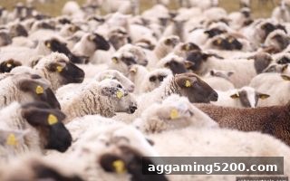 沙巴体育官网 LOL比赛数据分析工具：从入门到精通的实战指南